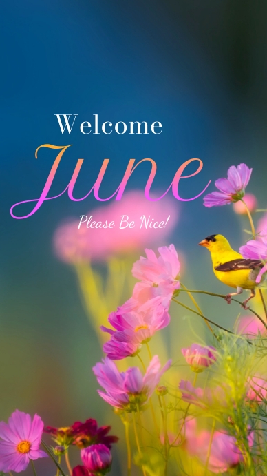 Welcome June Instagram Story Template | PosterMyWall