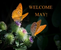 Welcome May Template | PosterMyWall