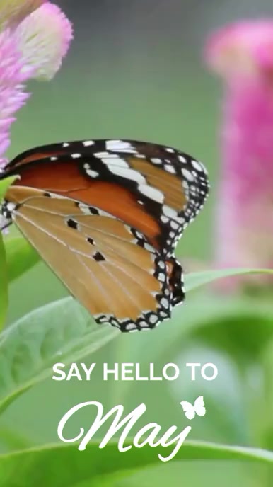 Plantilla de Welcome May hello month of May card | PosterMyWall