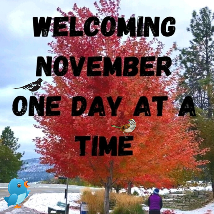 Welcome November Instagram post Template | PosterMyWall