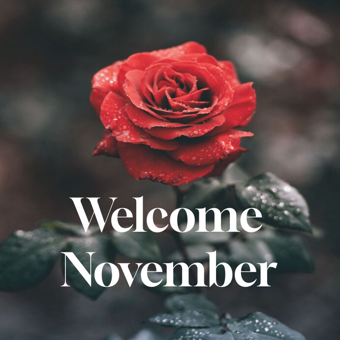 Welcome November Instagram post Template | PosterMyWall