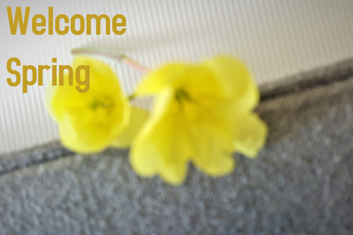 Welcome Spring! Poster template