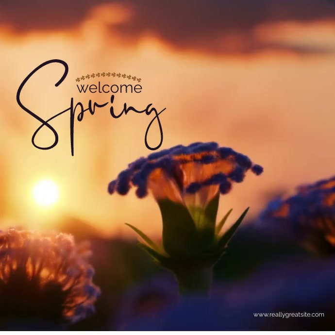 welcome spring Template | PosterMyWall