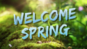 welcome spring Tampilan Digital (16:9) template