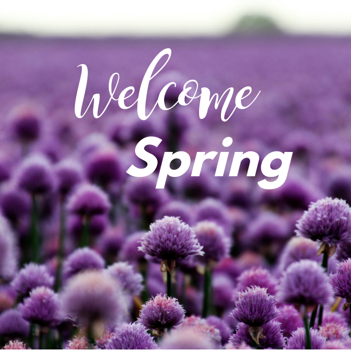Welcome Spring Template | PosterMyWall