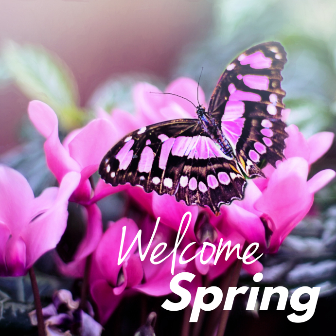 Welcome Spring Template | PosterMyWall