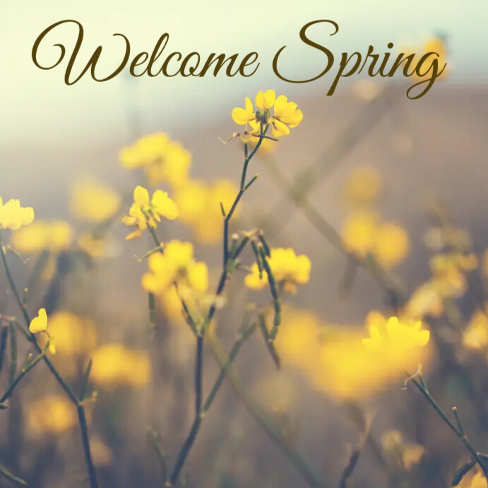 Welcome spring season Instagram post template | PosterMyWall