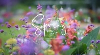 welcome spring video Display digitale (16:9) template