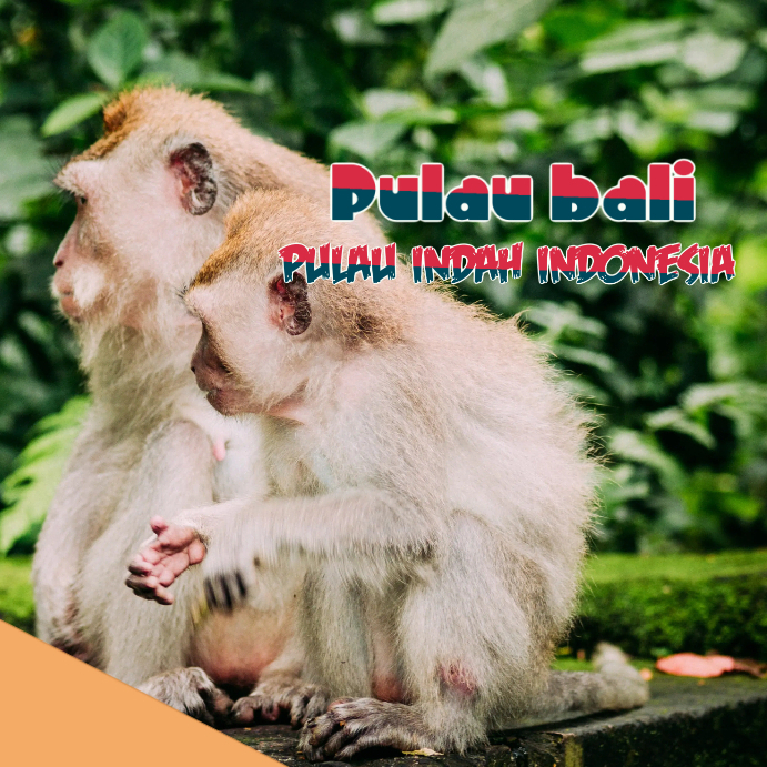 Whatsapp status Template | PosterMyWall