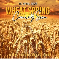 wheat spring coming soon Square (1:1) template