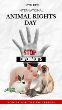White and Red Creative International Animal Rights Day Instagram Story template