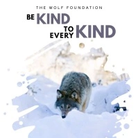 White Animal Rights Quote Instagram Post Template
