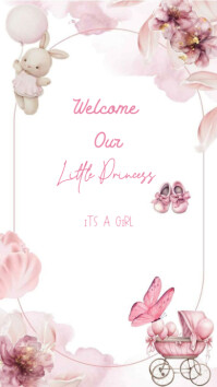White Baby Girl Announcement  Facebook Story template