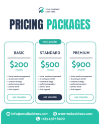 White Pricing Packages Instagram Portrait Template