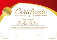 White Certificate Of Appreciation Flyers A3 template