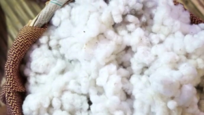 white cotton video Miniature YouTube template