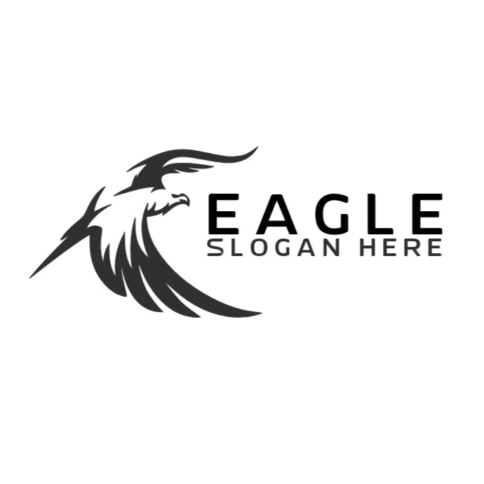 White  Eagle/bird/icon/predatory/raptor/wildlife/symbol/poweful/freedom/strength/learship/vision/ Lo Logo template
