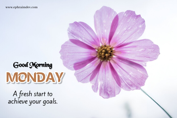 White Floral Happy Monday Label Templat | PosterMyWall