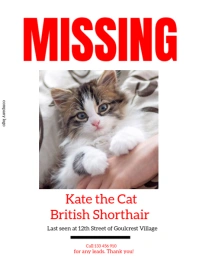 White Grunge Missing Cat  Flyer (us Letter) template
