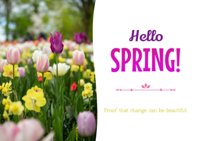 White Hello Spring Hello April Floral Greeting Card Postcard Flyer ...