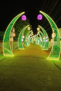 White Illuminated Green And Gold Archway Tunnel Light Display Poster template
