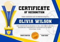 White Illustrative Basket Ball Certificate Award A4 template