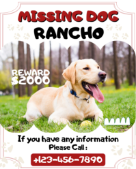 White Illustrative Missing Dog Template  Instagram Portrait