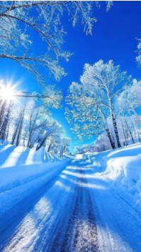 White Joyful Brilliant Blue Winter Path  Instagram Story template