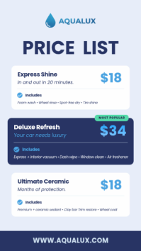 Bianco Car Wash and Detailing Instagram Story Template - Page 2