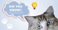 White Joyful Did You Know Cat Facebook Shared template