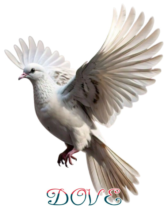 White Joyful Flying Dove  Flyer (us Letter) template