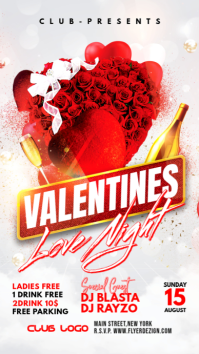 White Joyful Valentines Night Party Instagram Story template