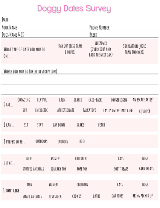White List-based Survey Flyer (us Letter) template