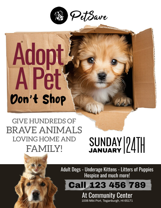 White Maximalist Adopt A Pet Flyer (us Letter template