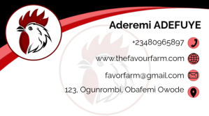 White Maximalist Beautiful Business Card Twitter Post template