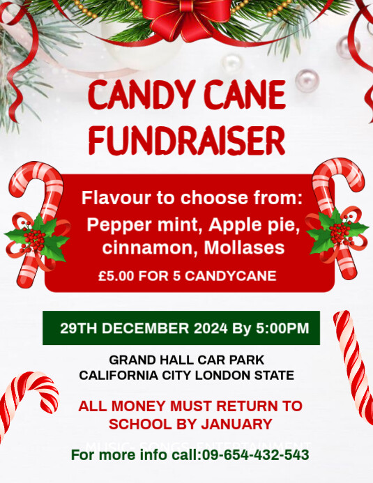 Copy of White Maximalist Candy Cane Fundraiser Template Design Flyer ...
