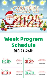 White Maximalist Christmas Schedule Instagram Story template