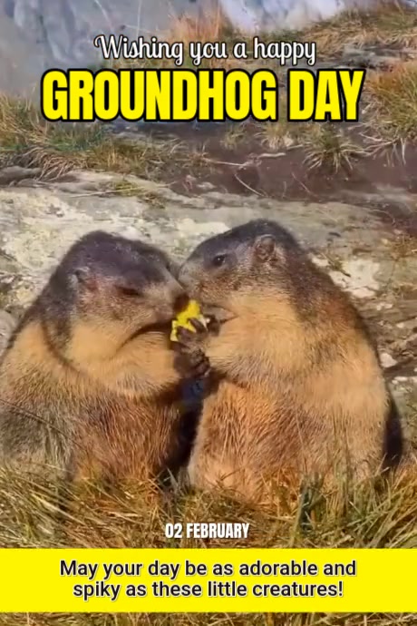 White Maximalist Groundhog Day Instagram Story Template | PosterMyWall