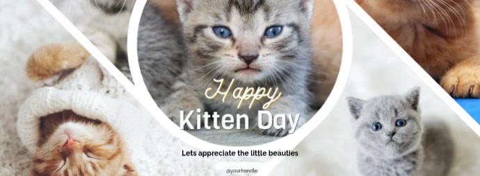 White Maximalist Happy National Kitten Day Facebook Cover Photo Facebook-omslagfoto template
