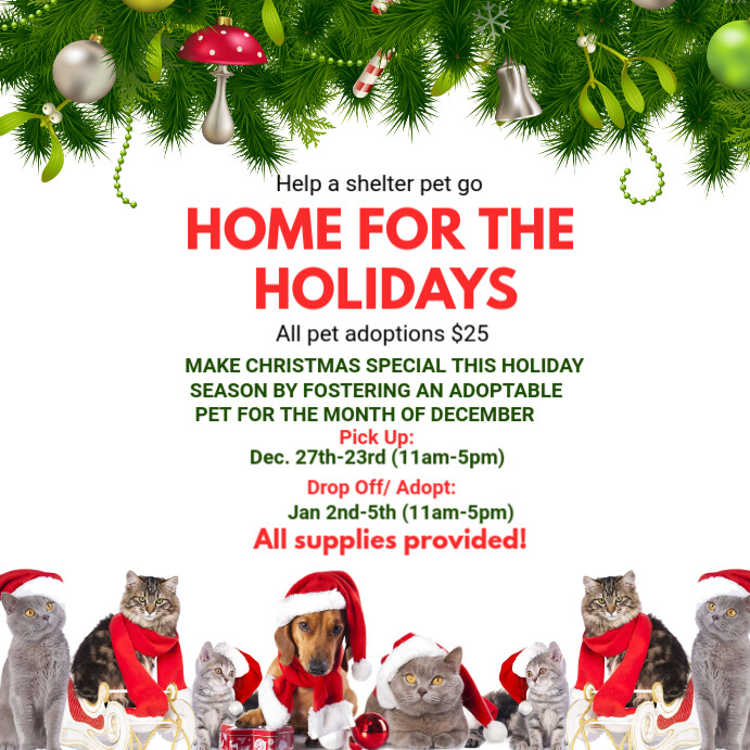 White Maximalist Home For The Holidays Pet Adoption Instagram Post ...