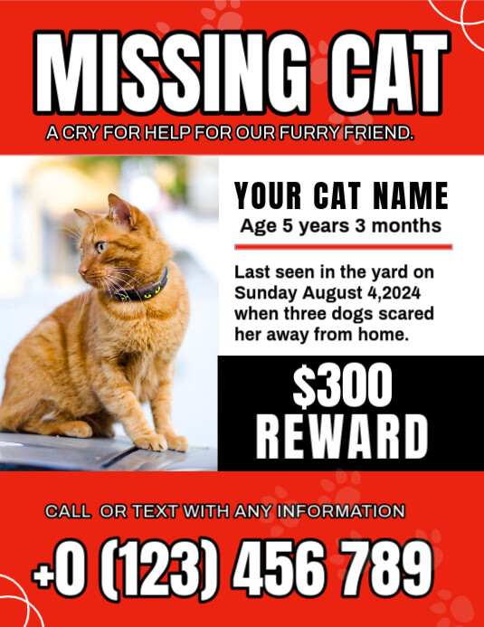 White Maximalist Lost Pet Flyer (us Letter) template