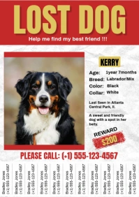 White Maximalist Missing Pet A4 template