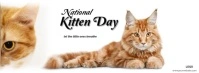 White Maximalist National Kitten Day Facebook Cover Photo Facebook-omslagfoto template
