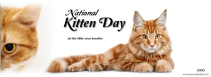Hvid National Kitten Day Zdjęcie w tle na Facebooka Template