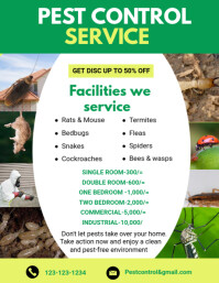 White Maximalist Pest Control Service Flyer (us Letter) template