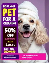Pet Grooming Special Offer Flyer template