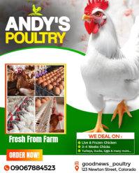 White Maximalist Poultry Farm Advertisement Template  Instagram Portrait