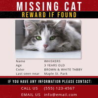 White Missing Cat Instagram Post template