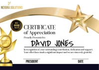 White Modern & Minimal Company-branded Certificate Of Appreciation A3 template