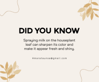 Wit Houseplant Care Tip Persegi Panjang Sedang Template